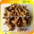 Spice / Hot Chinese Galangal Root / Red Ginger